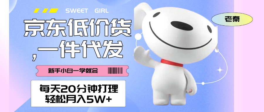 每天20分钟打理京东低价货,一件代发-轻松月入5W＋ 老秦