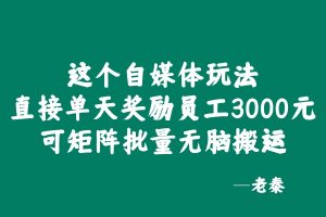'这个自媒体玩法，直接单天奖每个员工3000元，红利期间可矩阵批量放大？ 老秦