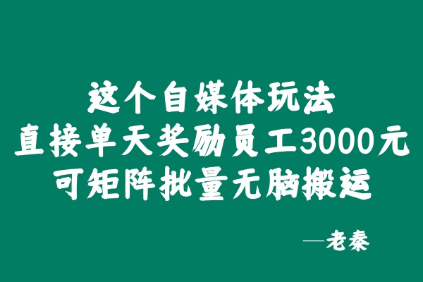 ‘这个自媒体玩法，直接单天奖每个员工3000元，红利期间可矩阵批量放大？ 老秦