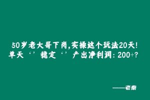 50岁老大哥下岗,实操这个玩法20天,单天‘’稳定‘’产出净利润:400+? 老秦