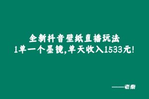 全新抖音壁纸直播玩法，1单一个墨镜，单天收入1533元 老秦