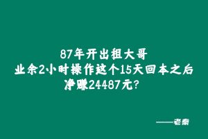 87年开出租大哥，业余2小时操作这个15天回本之后净赚24487元？ 老秦