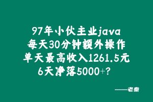 97年小伙主业java每天30分钟额外操作单天最高收入1261.5元,6天净落5000+? 老秦