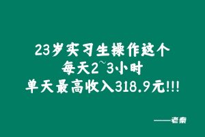 23岁实习生操作这个每天2~3小时,单天最高收入318.9元!!! 老秦