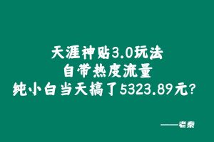 天涯神贴3.0玩法，自带热度流量，纯小白当天搞了5323.89元？ 老秦