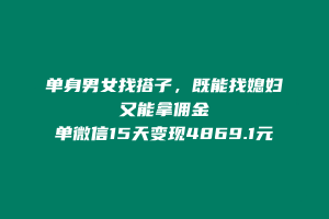 这个搭子玩法,纯无脑搬运,有铁子15天搞了4869.1元? 老秦