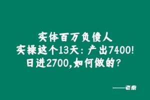 实体百万负债人实操这个13天:产出7400!日进2700,如何做的? 老秦