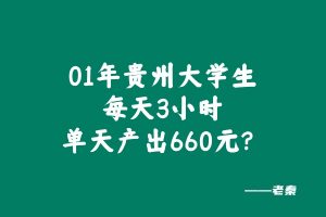 实操案例：01年的贵州大学生，每天3小时，单天产出660元？ 老秦