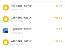 图片[16] 实操案例：01年的贵州大学生，每天3小时，单天产出660元？ 老秦