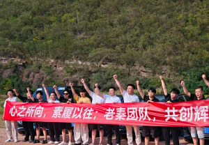 为什么他选择我们?43岁新手10天跑通虚拟电商,单天最高战绩542元? 老秦