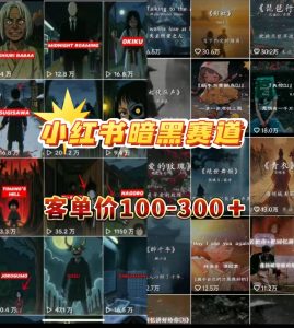 小红书暗黑小众情感赛道,客单价100-300+?用户量很大,0门槛即可操作 老秦