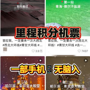 冷门里程积分兑换机票玩法,一部手机,小白无脑入,全职做轻松月入9W+? 老秦