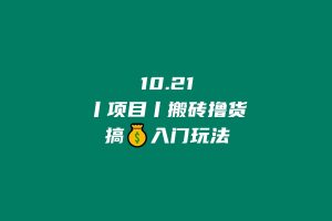 10.21丨项目丨搬砖撸货，搞💰入门玩法 老秦